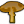 Яд