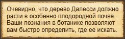 Текст