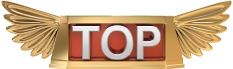 Top log.jpg