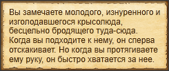 Текст