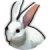 Заяц