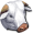 Белый зубр