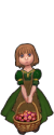 Ученик травника.png
